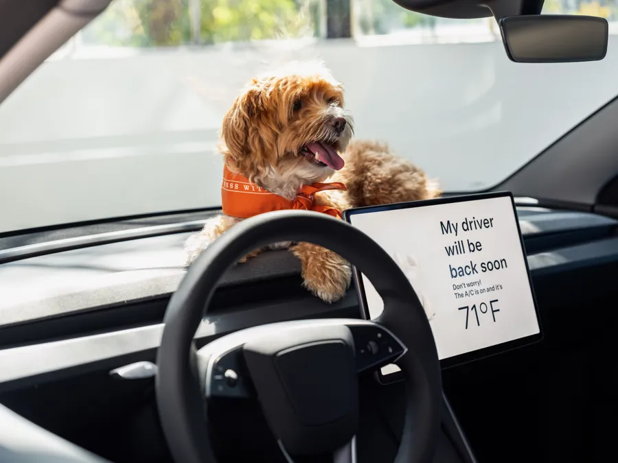 Tesla Model 3 Dog Mode keeping a dog cool with cabin set to 71F