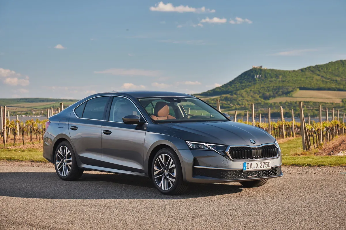 Grey Skoda Octavia hatchback parked beside hillside vineyards