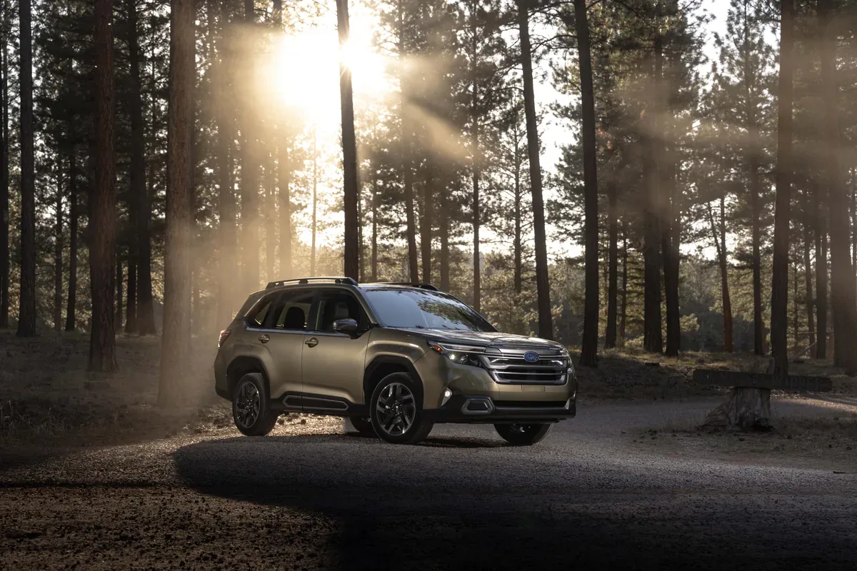 Green Subaru Forester parked among sunlit pine trees